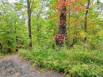 Lot 23 23 Skyview Property Photo 1