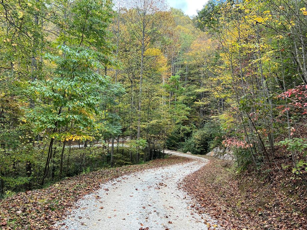 Lot 19 Preserve Valley Road Property Photo 1