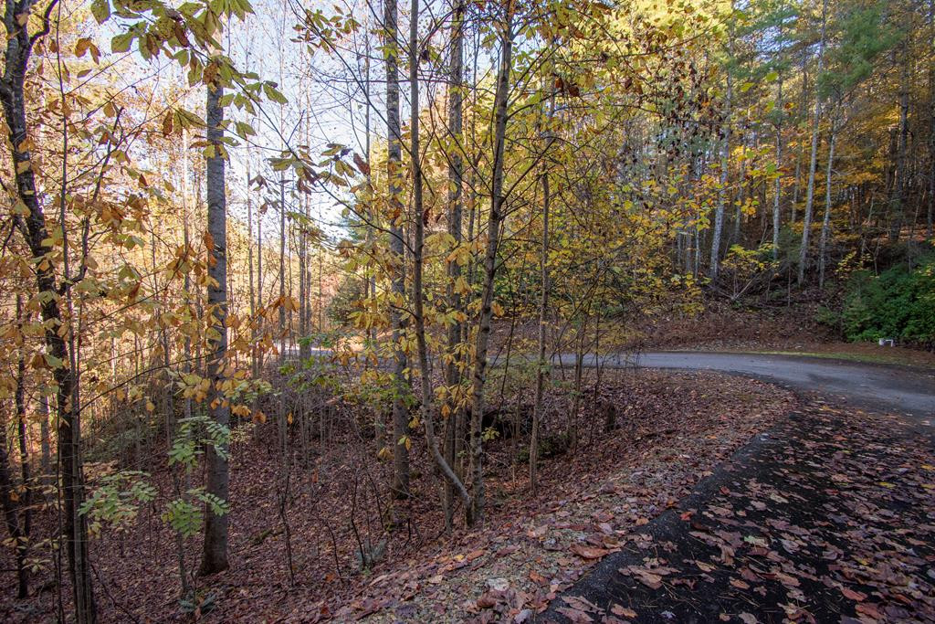 66 66 Choctaw Ridge Trail Property Photo 1