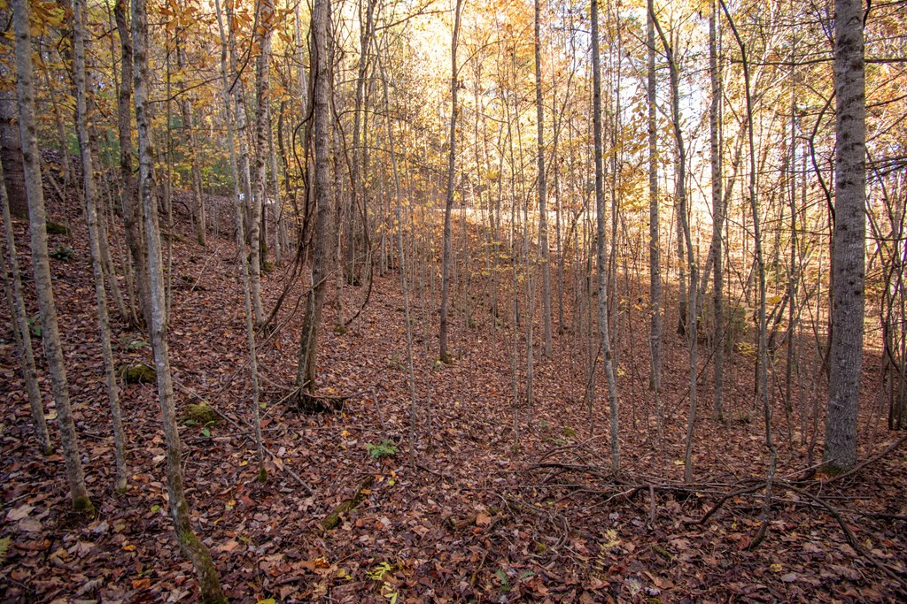 66 66 Choctaw Ridge Trail Property Photo 6