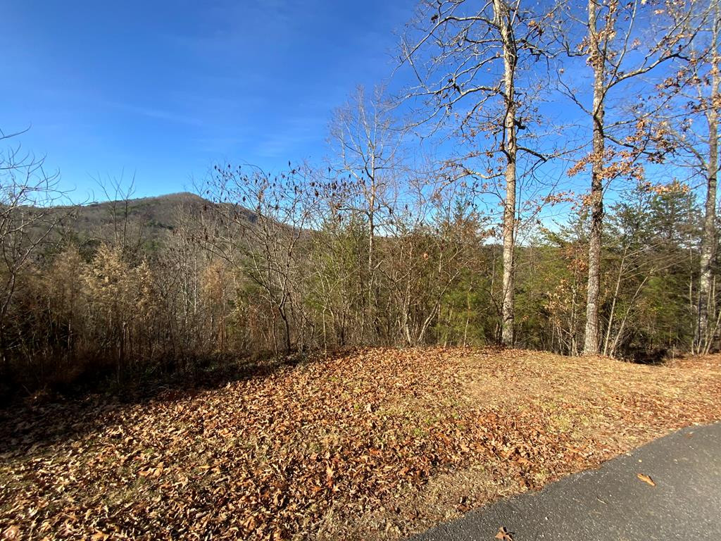 00 Brasstown View Property Photo 1