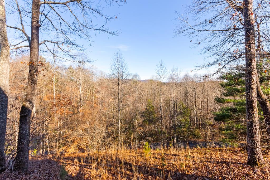 255 Birchwood Circle Property Photo 64