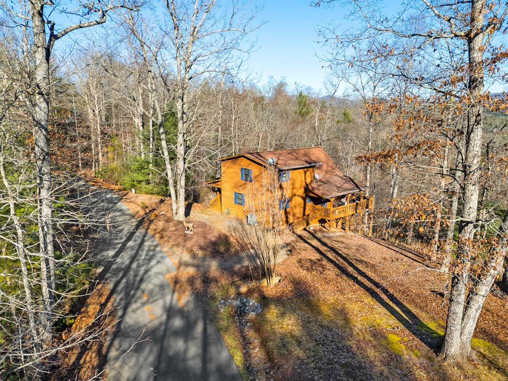 255 Birchwood Circle Property Photo 66