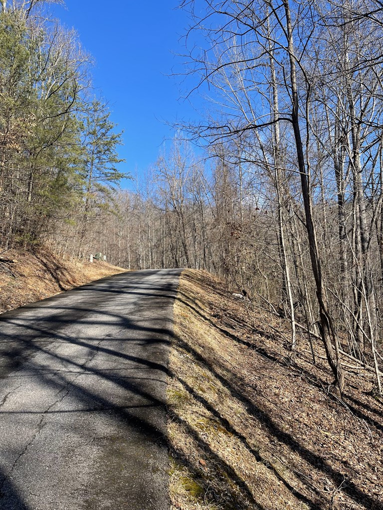 Lot 37c 37c Ash Branch Circle Property Photo 6