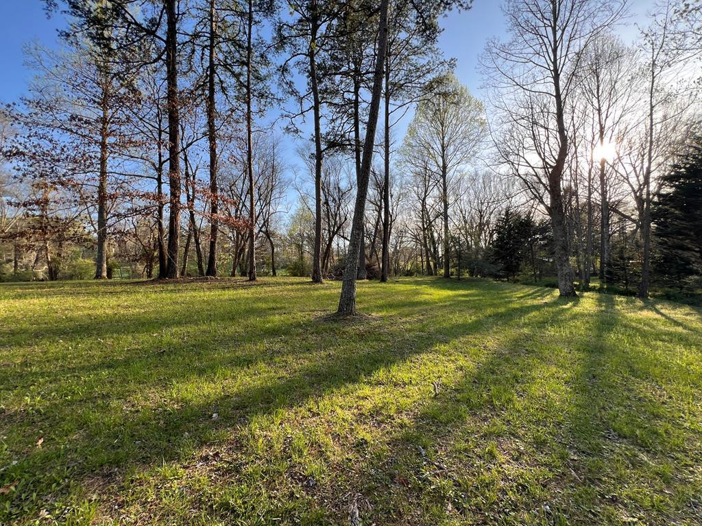 Lot 2 Preserve Road Property Photo 3