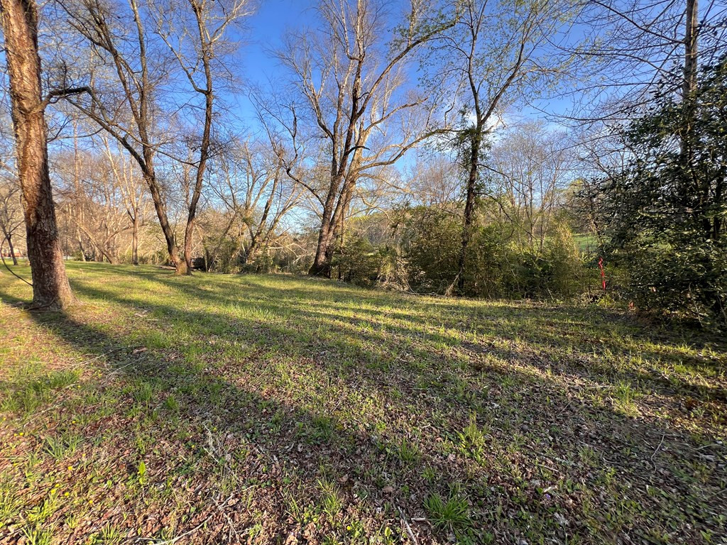 Lot 2 Preserve Road Property Photo 15