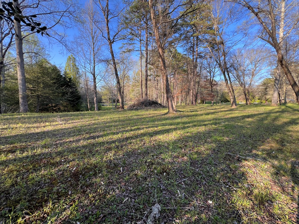 Lot 2 Preserve Road Property Photo 17