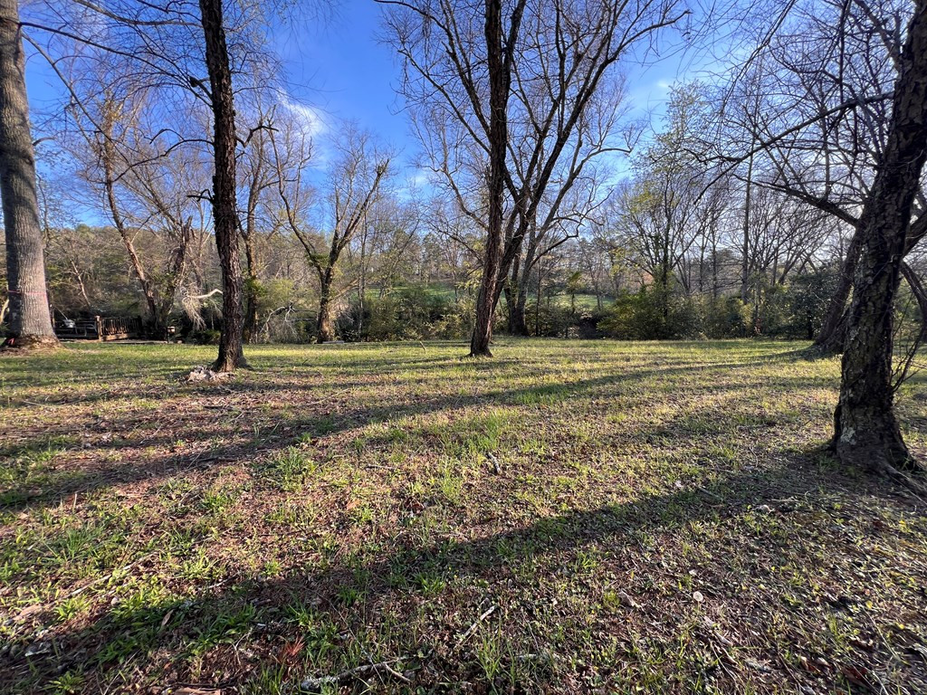 Lot 2 Preserve Road Property Photo 18