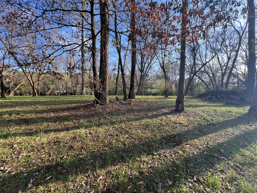 Lot 2 Preserve Road Property Photo 21