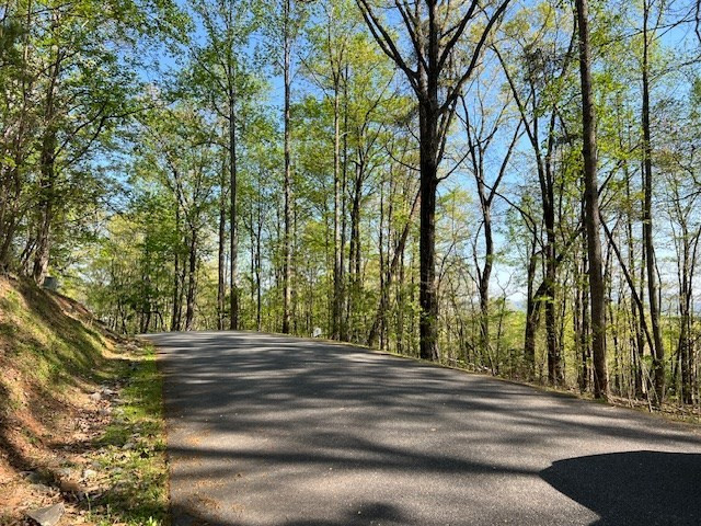Lot 2b Grandview Drive Property Photo 10