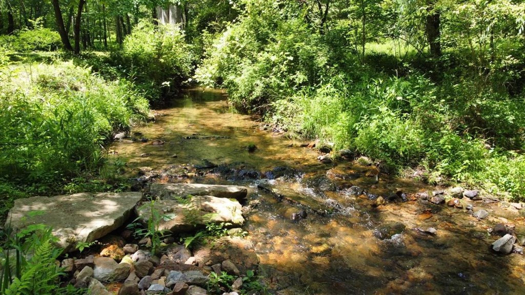 Tract 1 Timber Ridge Road Property Photo 17