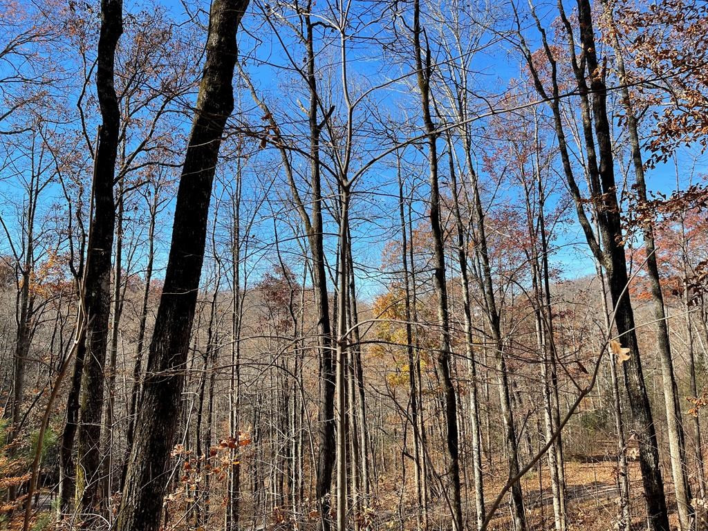 Lots Ash Branch View Property Photo 2