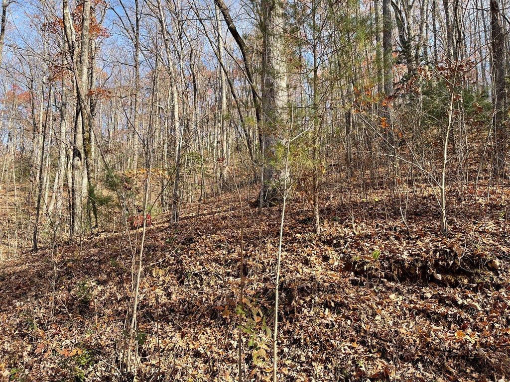 Lots Ash Branch View Property Photo 3