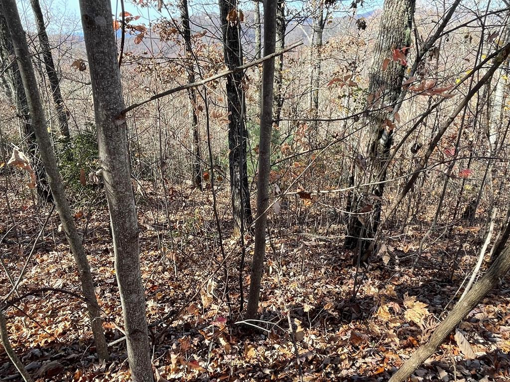 Lots Ash Branch View Property Photo 4
