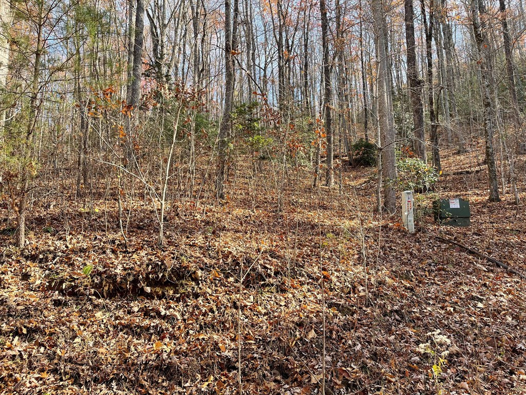 Lots Ash Branch View Property Photo 6