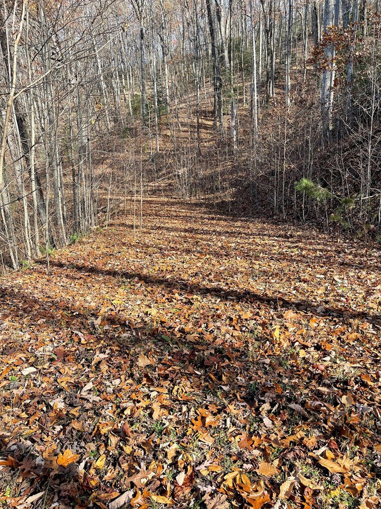 Lots Ash Branch View Property Photo 9