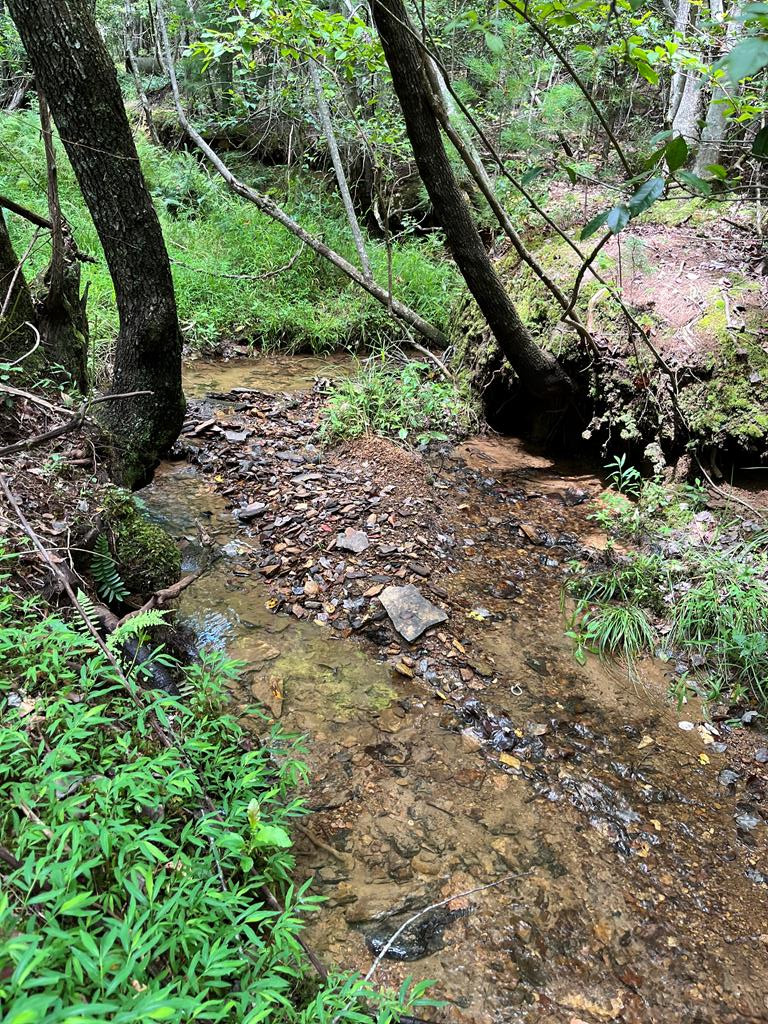 0 Sheep Knob Property Photo 1