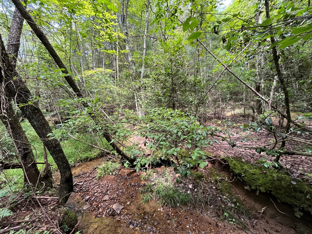 0 Sheep Knob Property Photo 2