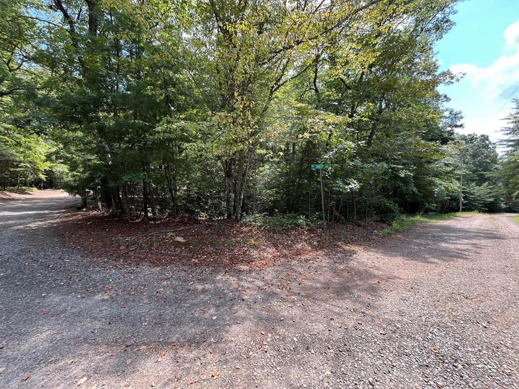 0 Sheep Knob Property Photo 3
