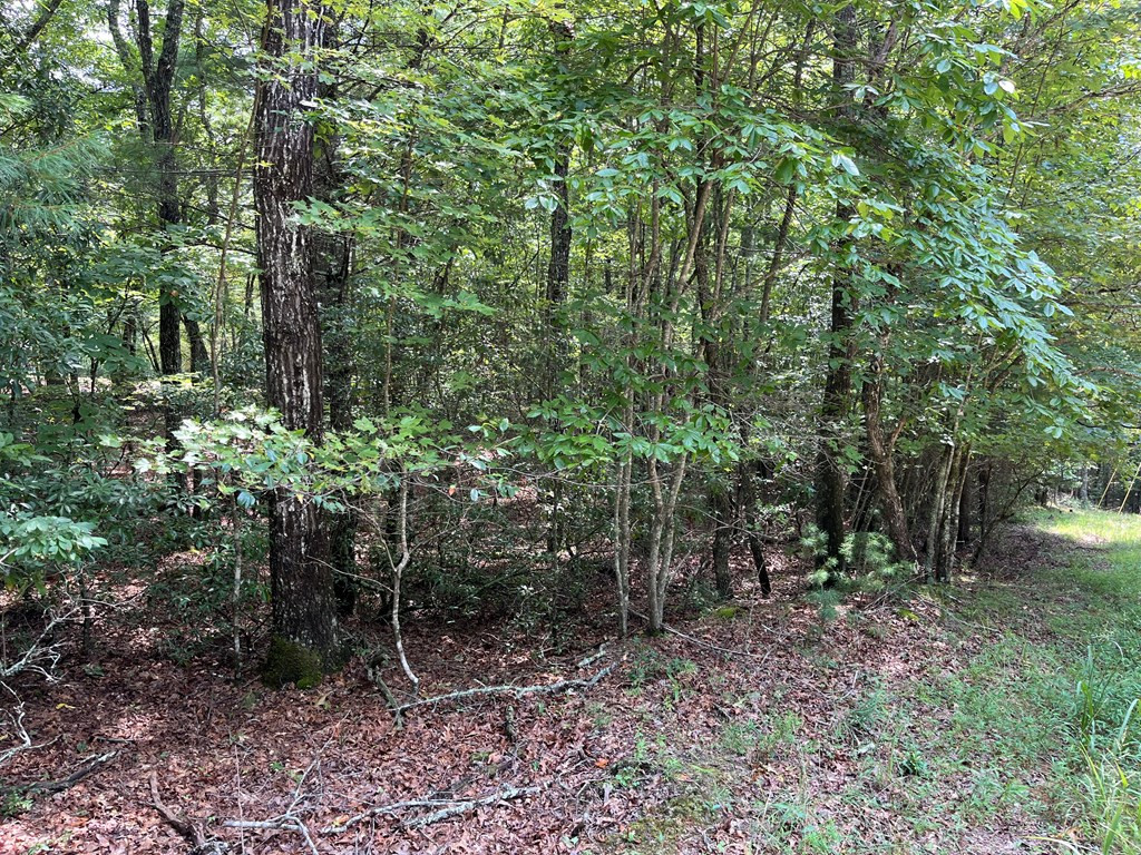 0 Sheep Knob Property Photo 4