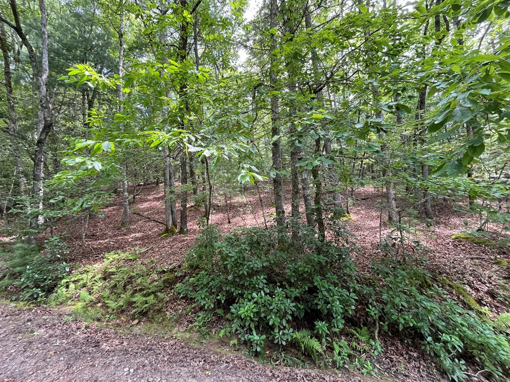 0 Sheep Knob Property Photo 5
