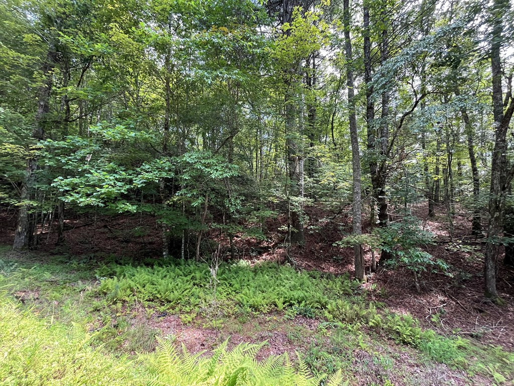 0 Sheep Knob Property Photo 6