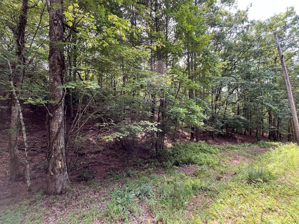 0 Sheep Knob Property Photo 7