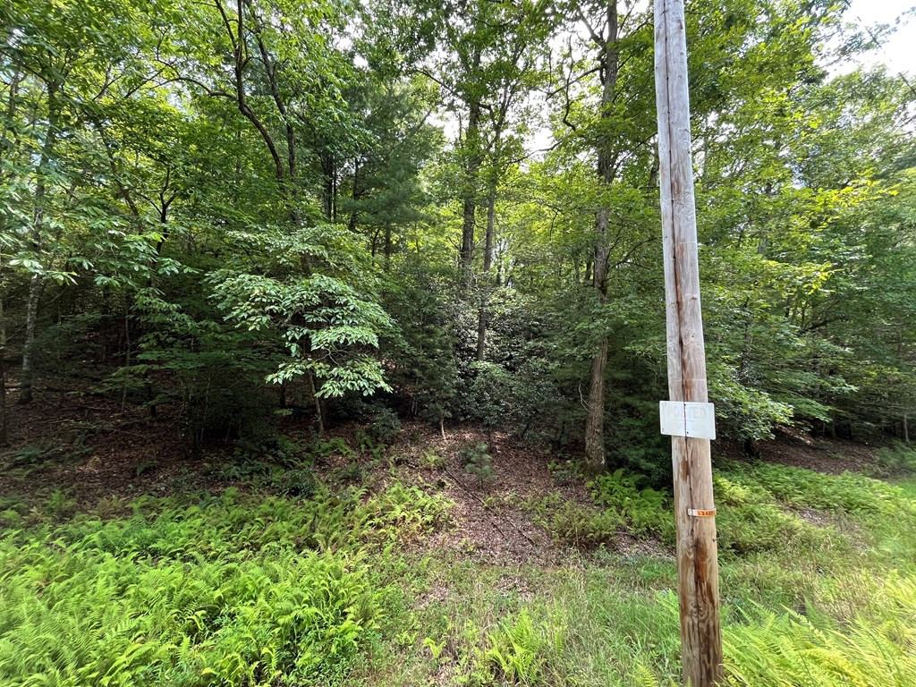 0 Sheep Knob Property Photo 8