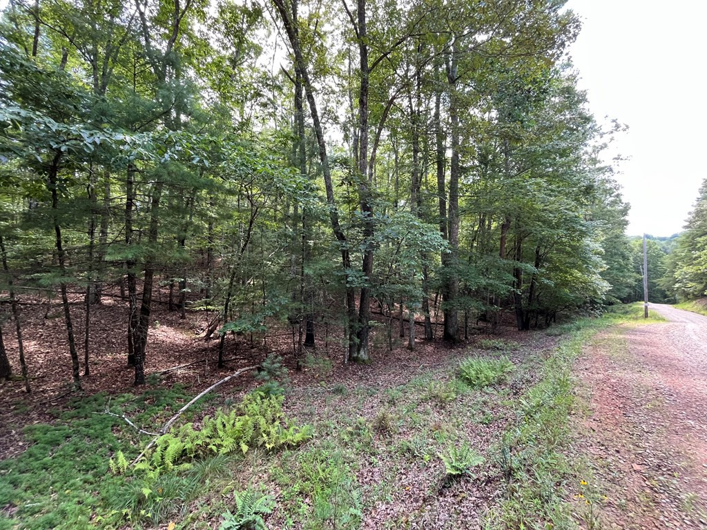 0 Sheep Knob Property Photo 9