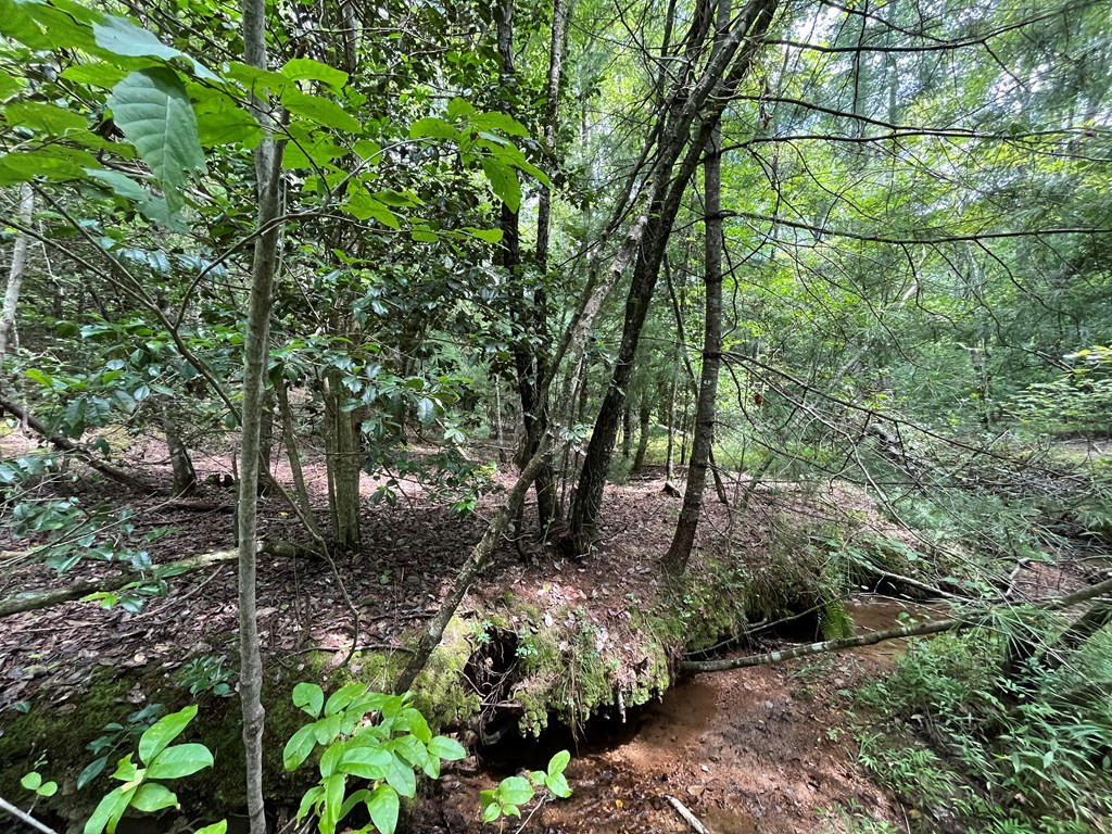0 Sheep Knob Property Photo 13