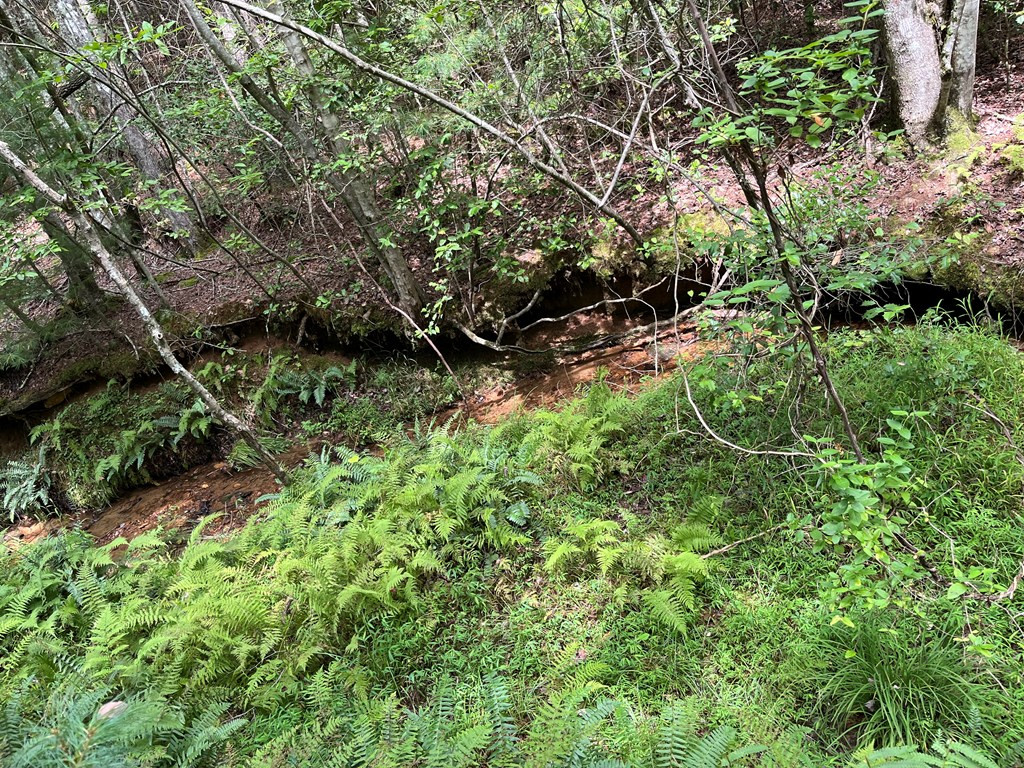 0 Sheep Knob Property Photo 16