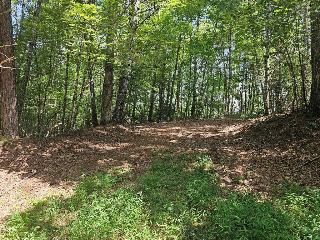 Lot C Nottley Ridge Property Photo 3