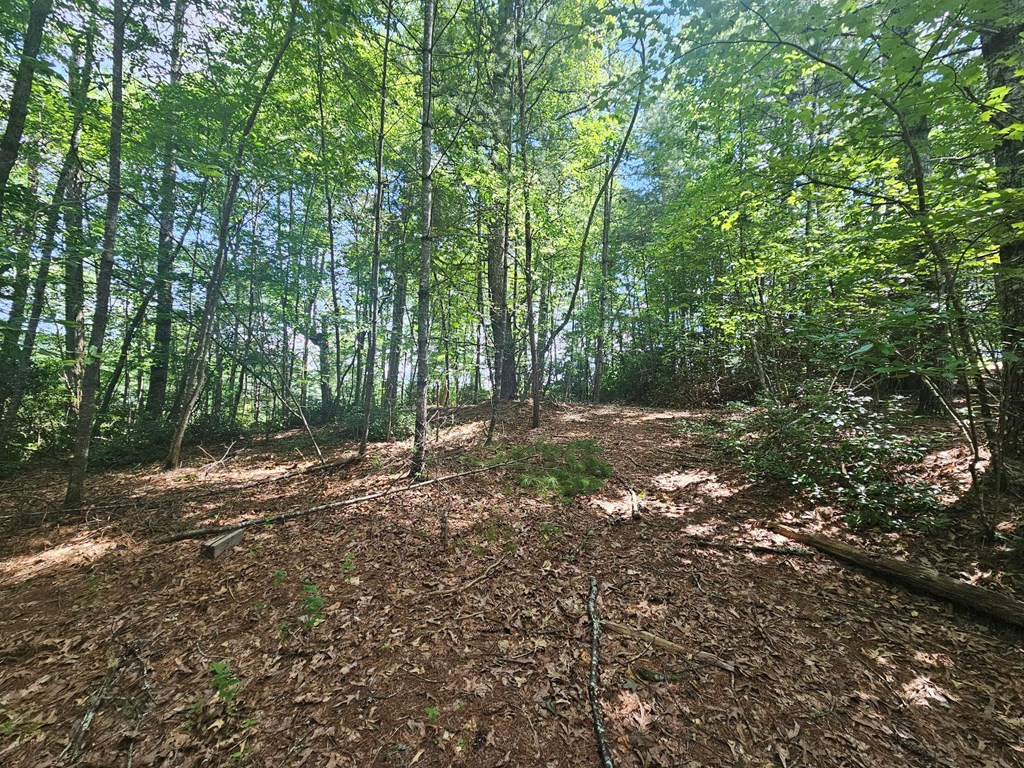 Lot C Nottley Ridge Property Photo 4