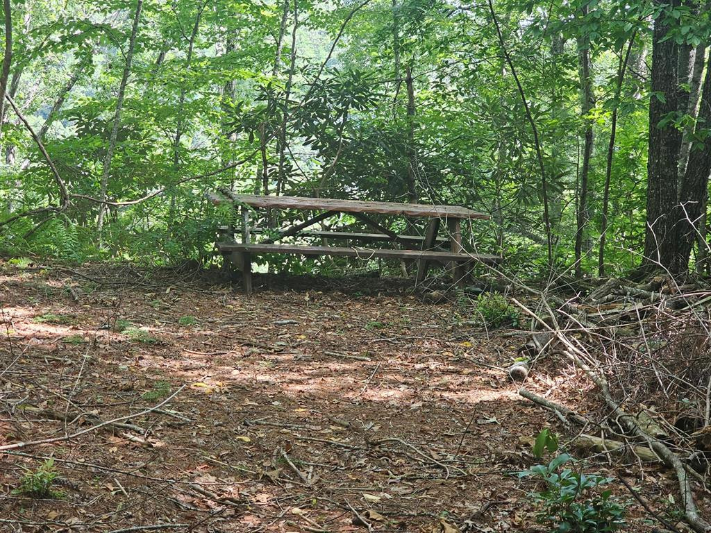 Lot C Nottley Ridge Property Photo 5