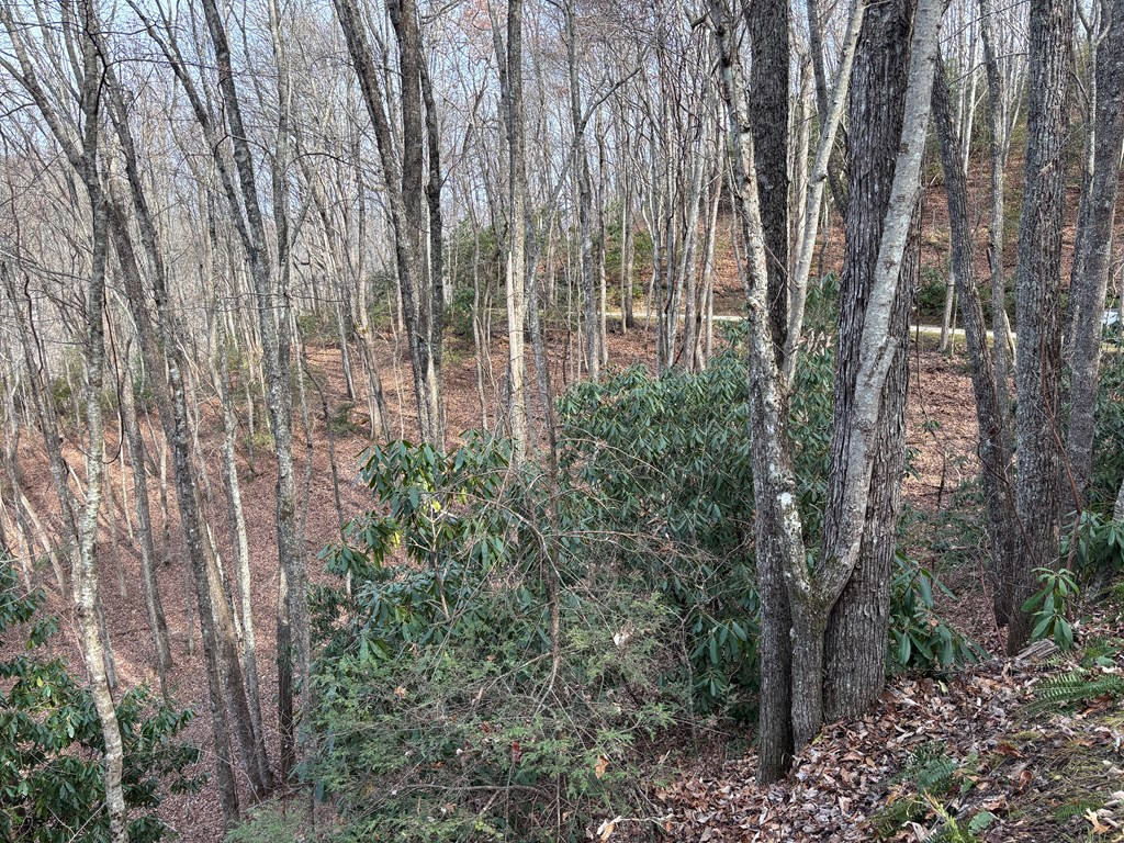 Lot 5 Mountain Tabor Property Photo 3