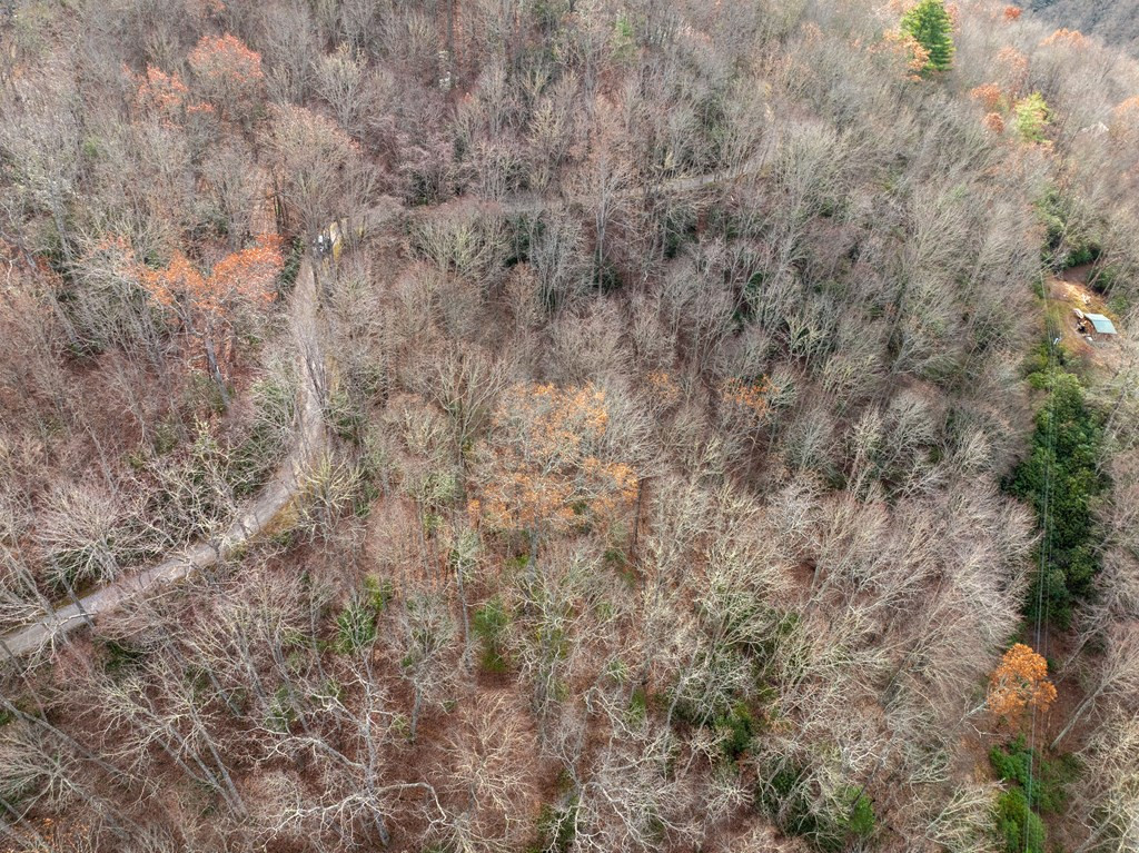 Lot 5 Mountain Tabor Property Photo 5