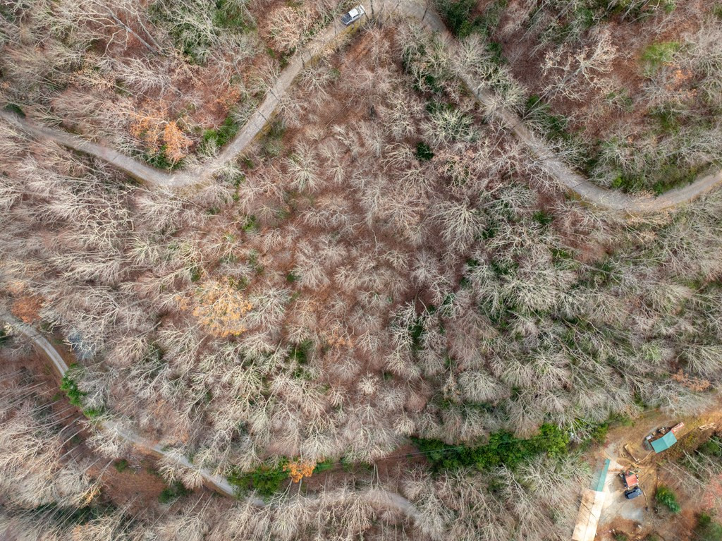 Lot 5 Mountain Tabor Property Photo 12