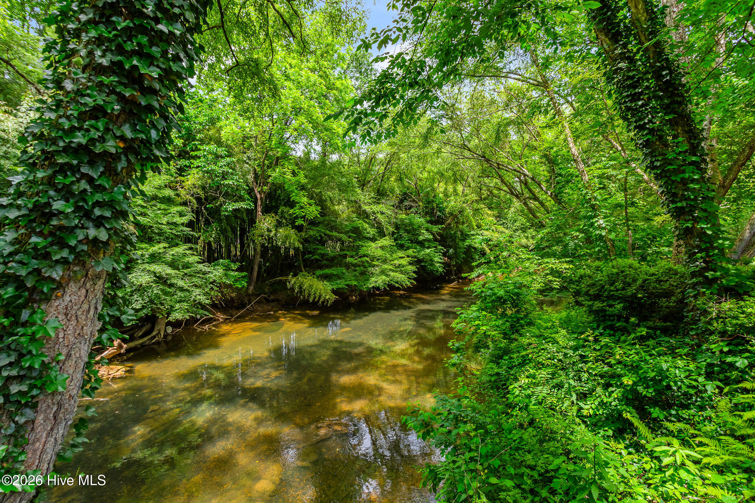 64 Canoe Bend Property Photo 7