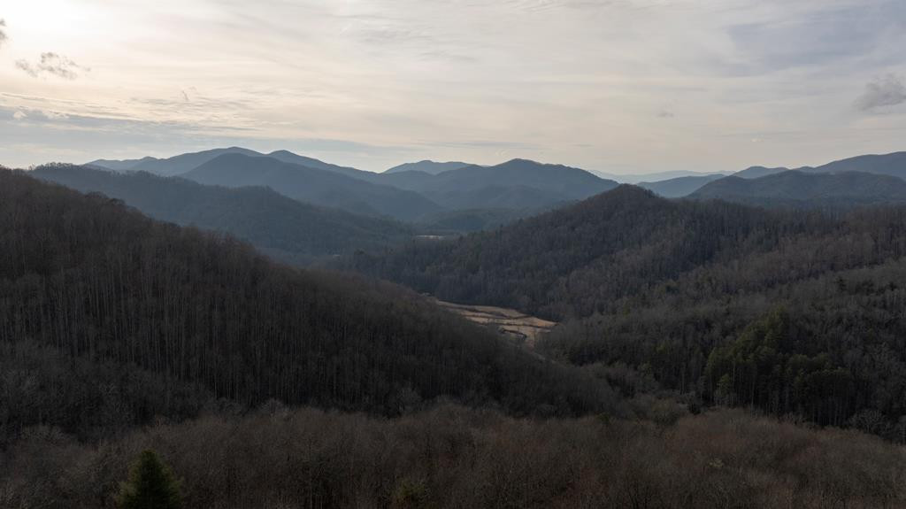 491 Otter Mountain Road Property Photo 1