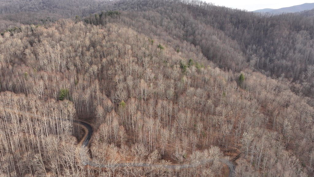 491 Otter Mountain Road Property Photo 33