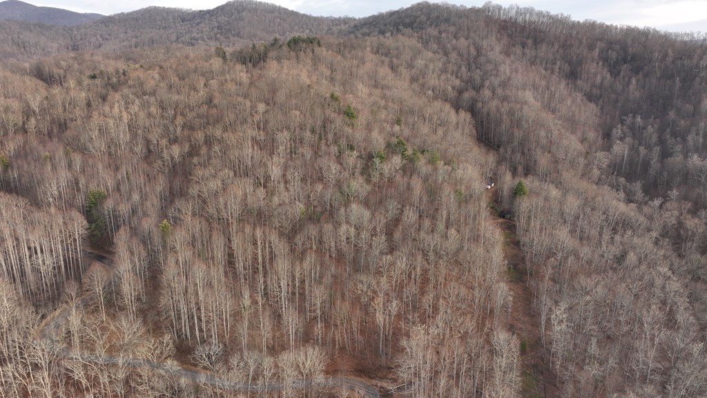 491 Otter Mountain Road Property Photo 60