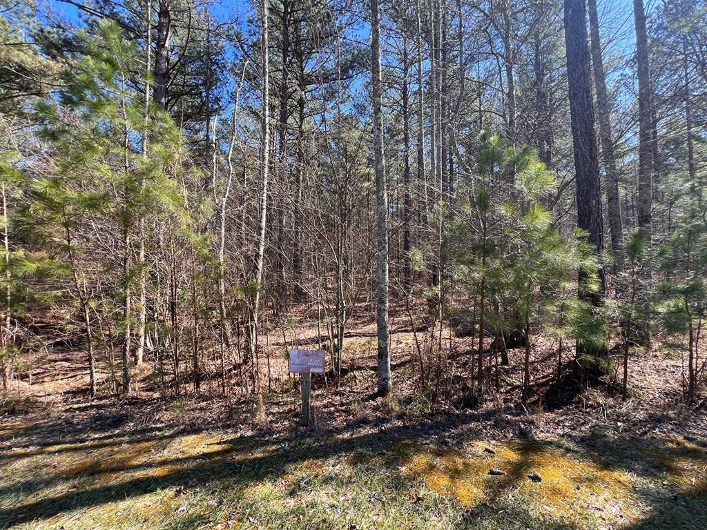 Lot 50 Deyton Drive Property Photo 1