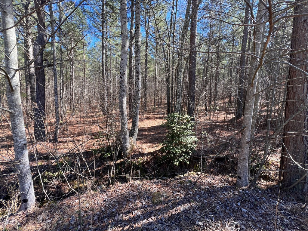 Lot 50 Deyton Drive Property Photo 6