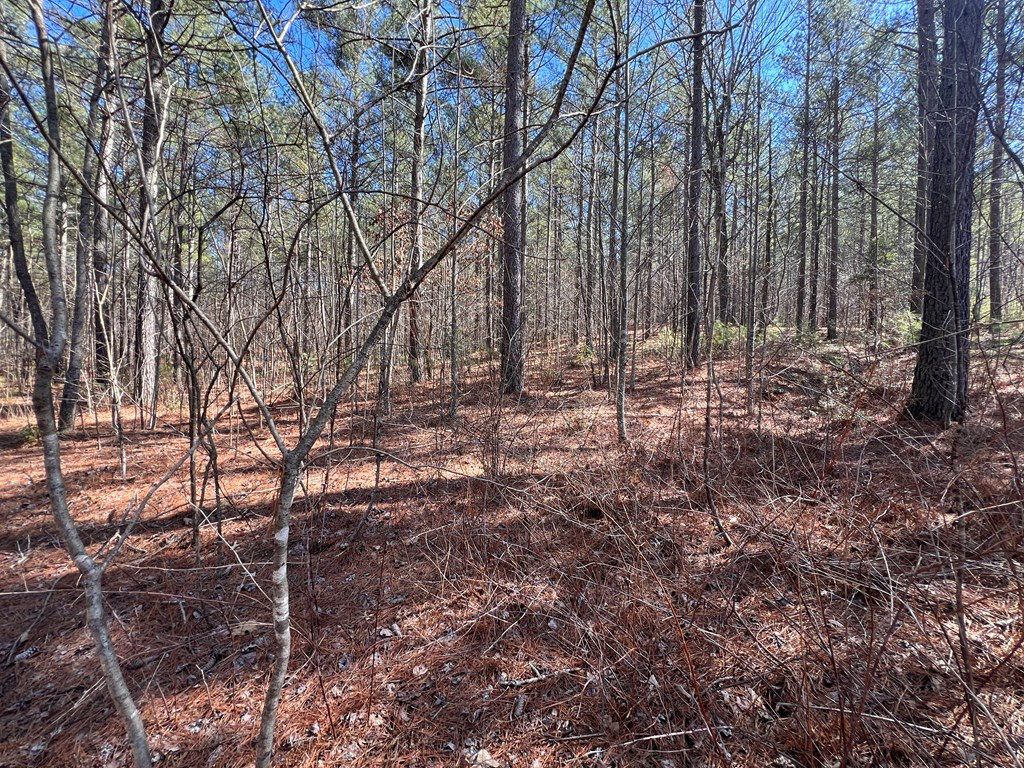 Lot 50 Deyton Drive Property Photo 8