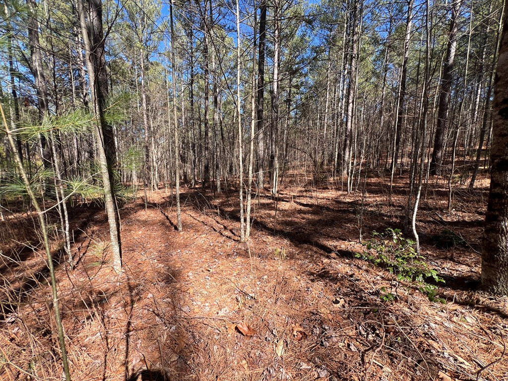 Lot 50 Deyton Drive Property Photo 11