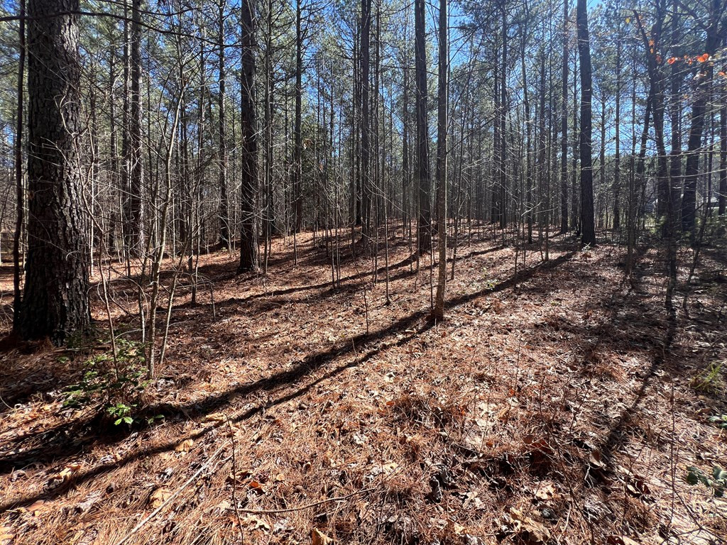 Lot 50 Deyton Drive Property Photo 12