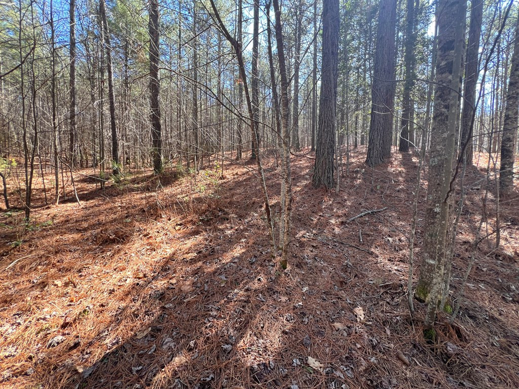 Lot 50 Deyton Drive Property Photo 14