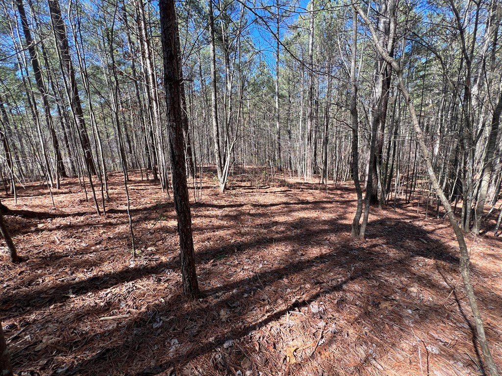 Lot 50 Deyton Drive Property Photo 15