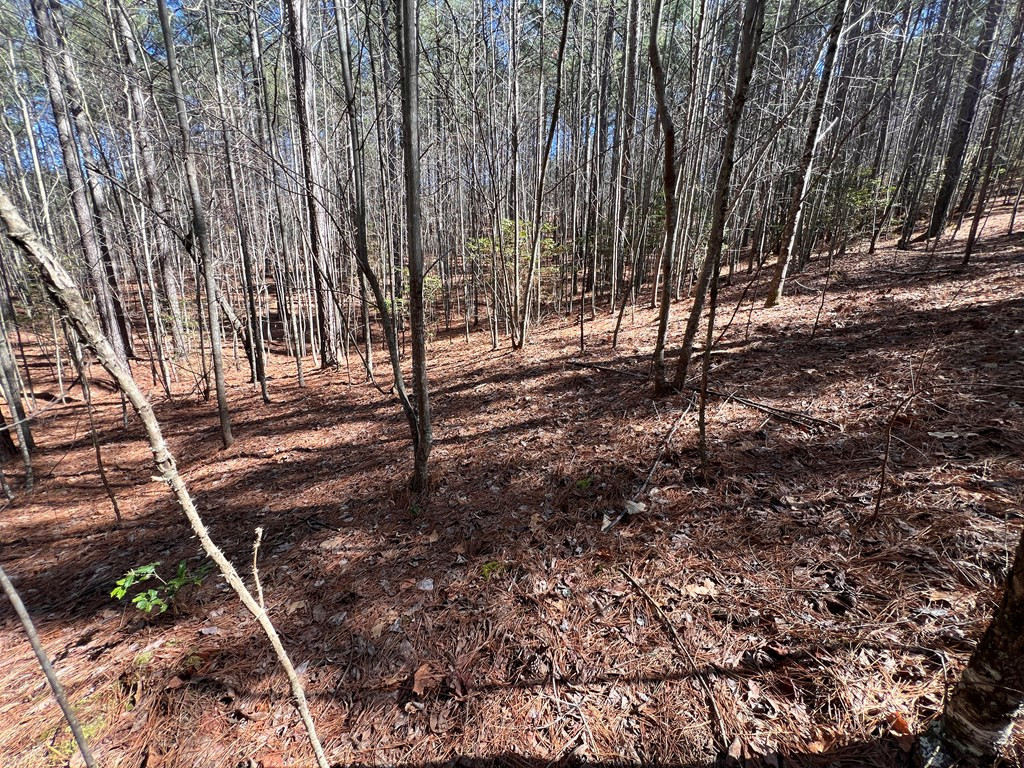 Lot 50 Deyton Drive Property Photo 16