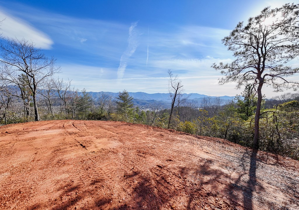 430 Live Oak Terrace Property Photo 15
